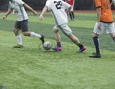 拉维亚传球,出色需多赛,恢复,双赢彩票,彩票平台,双重保障,在线投注,彩票分析