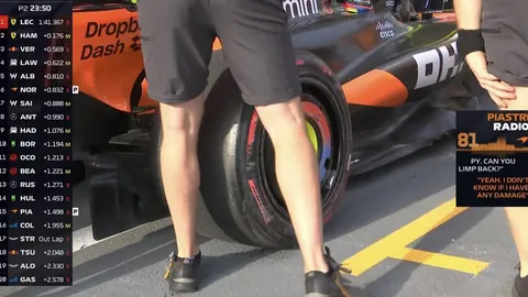 “篮球盛事：詹姆斯父子联手，太阳队逆境翻盘夺冠”