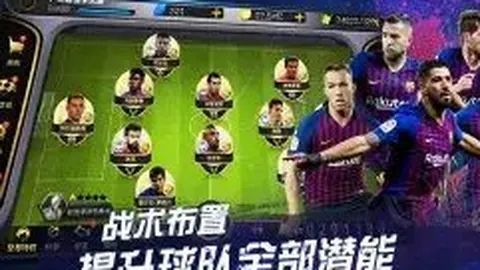 哈姆西克田园生活：携手爱妻打造鸡舍，29只母鸡产蛋不断，丰收美味乐趣多！