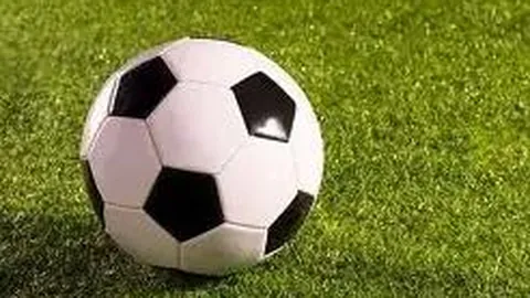 第2026082期 2026082期大乐透专家质合分析前区十